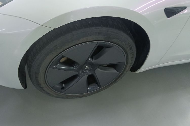 Tesla Model 3 2021 #9 Tesla Model 3 2021 car image #9