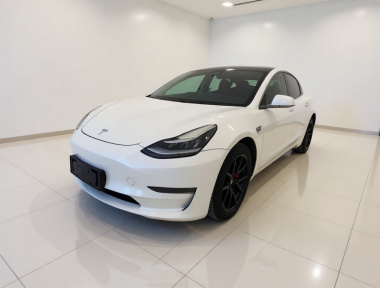 Tesla Model 3 2020 Tesla Model 3 2020 car image