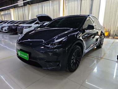 Tesla Model Y 2024 car image 