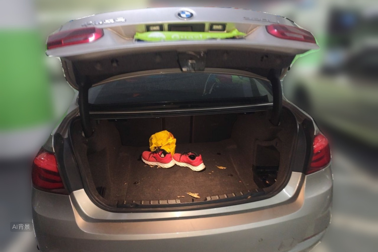 BMW 3 Series 2018 car image #21