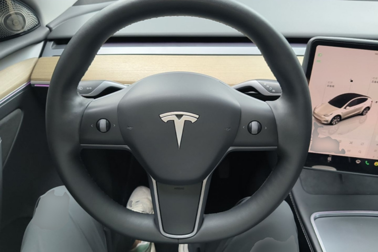 Tesla Model Y 2023 #15 Tesla Model Y 2023 car image #15