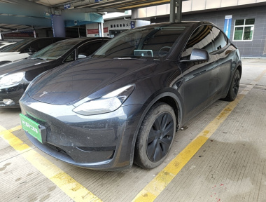 Tesla Model Y 2024 car image 