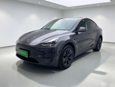 Tesla Model Y 2024 Tesla Model Y 2024 car image