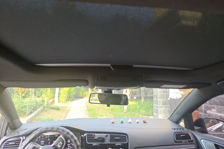Volkswagen Golf 2020 car image #20