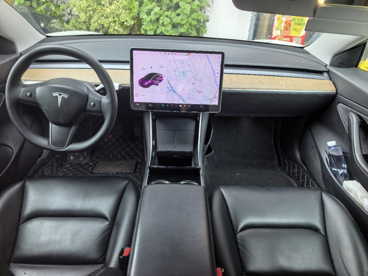 Tesla Model 3 2020 car image #6