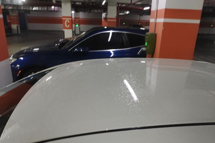 Toyota Corolla 2022 car image #28
