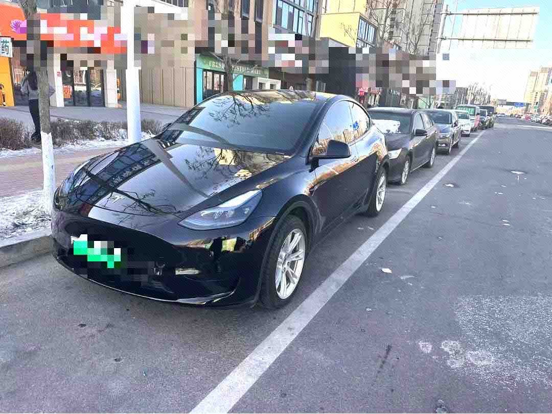 Tesla Model Y 2024 immagine di auto 