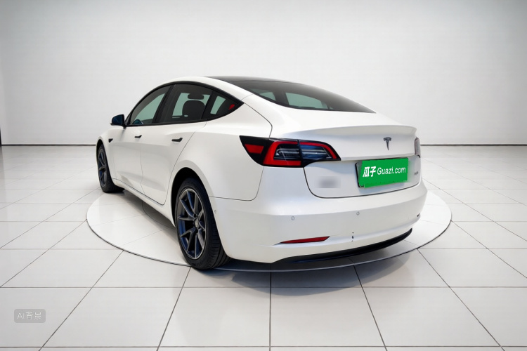 Tesla Model 3 2021 car image #5