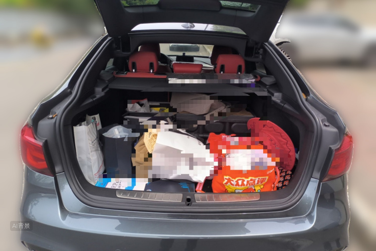 宝马 宝马3系GT 2019 汽车图片 #21