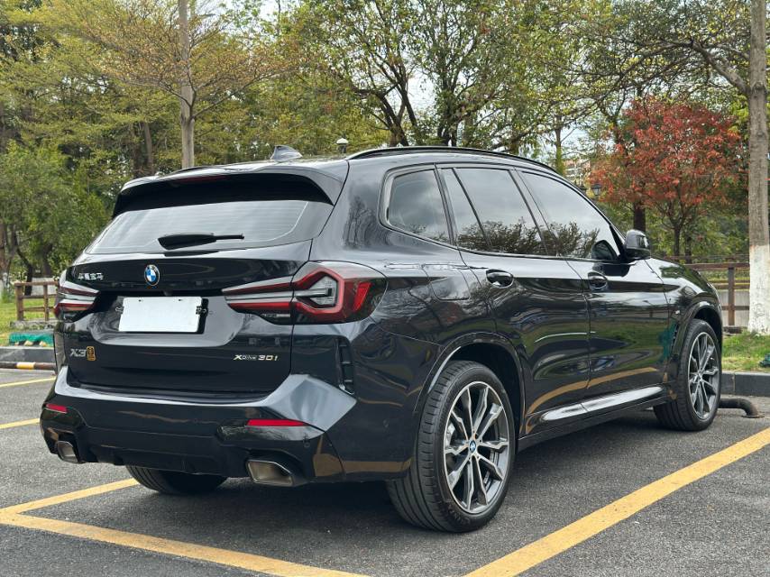 BMW X3 2024 #8 BMW X3 2024 imagen de coche #8