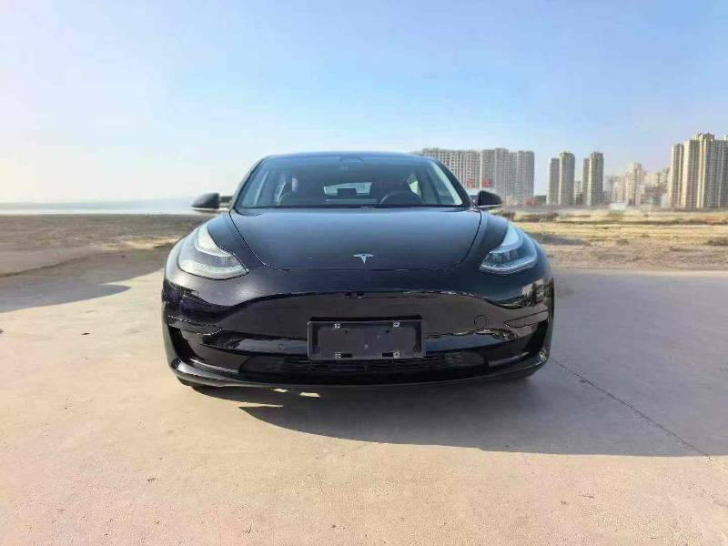 Tesla Model 3 2020 #2 Tesla Model 3 2020 car image #2