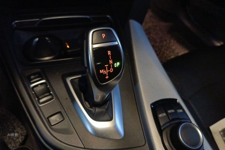 BMW 3 Series 2017 car image #16