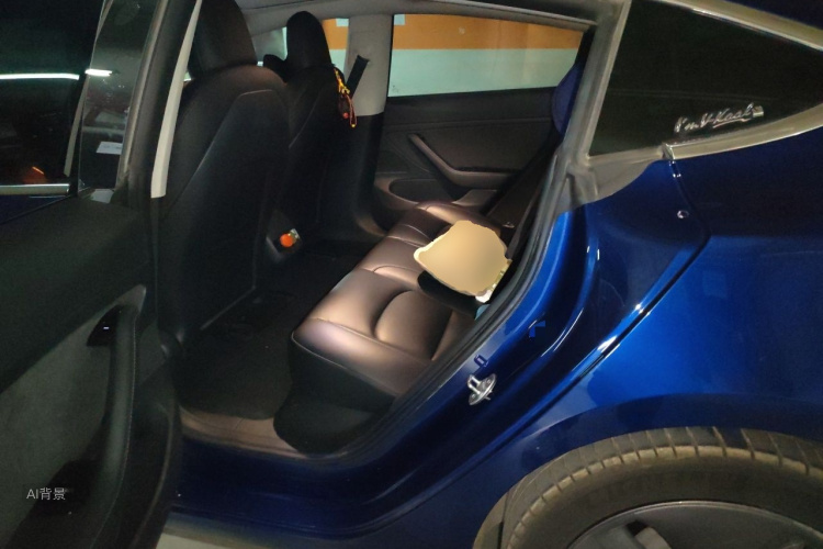 Tesla Model 3 2020 #19 Tesla Model 3 2020 car image #19