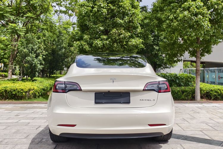 Tesla Model 3 2020 #10 Tesla Model 3 2020 immagine di auto #10