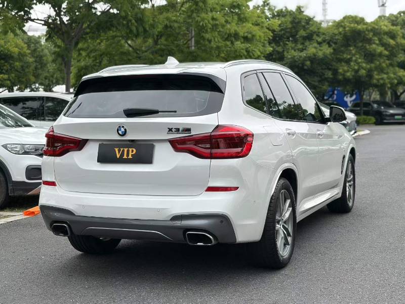 BMW X3 2018 car image #9