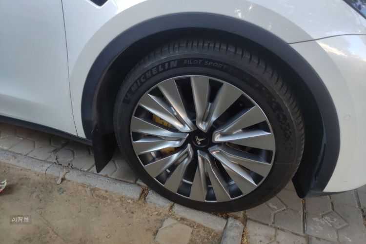 Tesla Model Y 2021 car image #9
