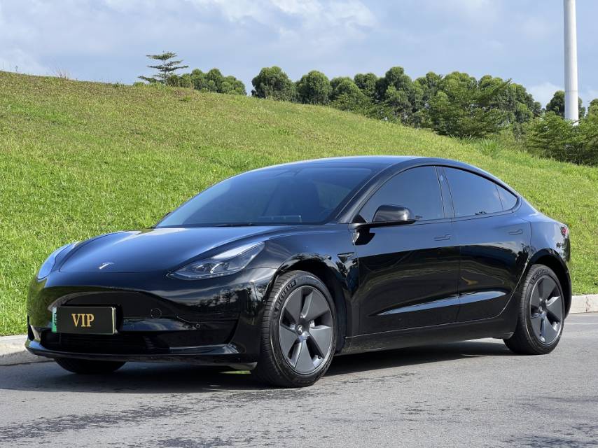 Tesla Model 3 2023 car image 