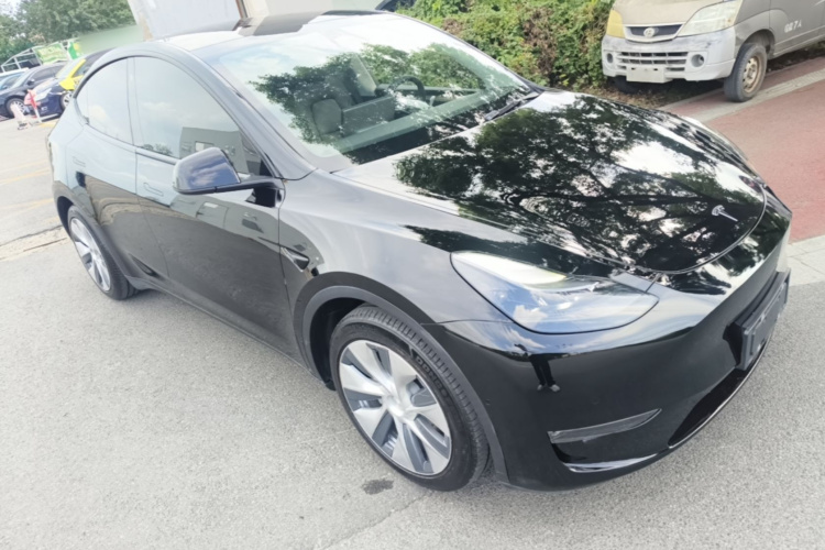 Tesla Model Y 2021 car image #6