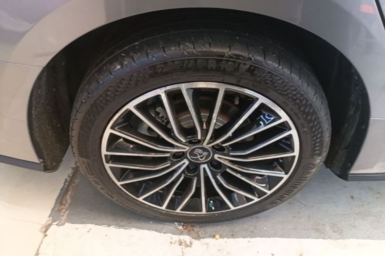 BYD Han 2022 car image #10
