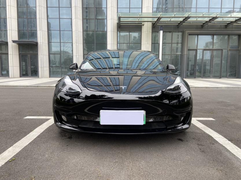 Tesla Model 3 2022 imagem de carro #2