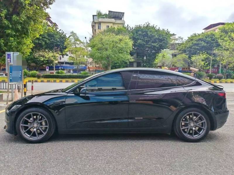 Tesla Model 3 2020 car image #6