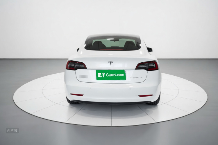 Tesla Model 3 2022 car image #6