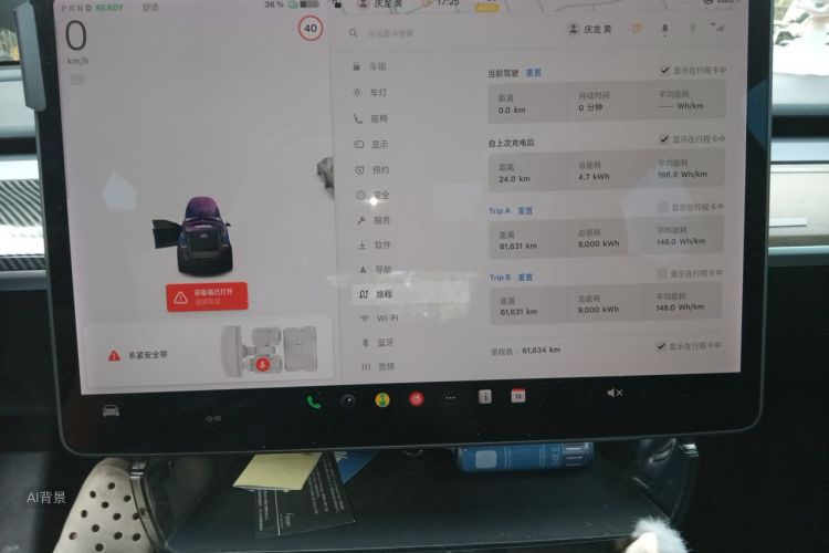 Tesla Model Y 2021 car image #13
