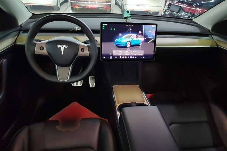 Tesla Model Y 2023 car image #10