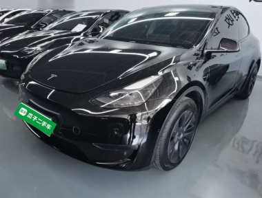 Tesla Model Y 2023 car image 