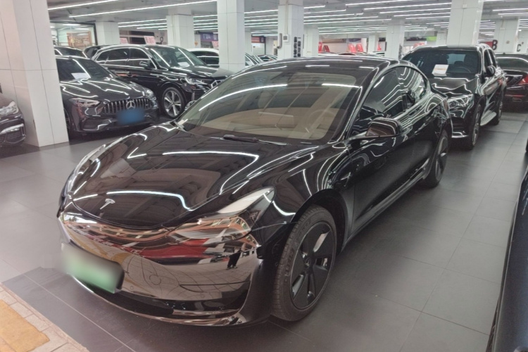 Tesla Model 3 2022 #2 Tesla Model 3 2022 car image #2