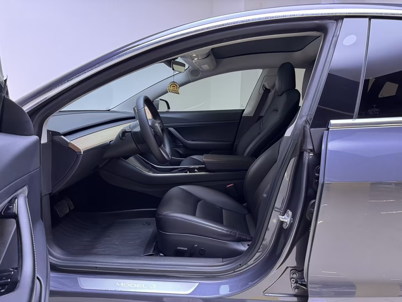 Tesla Model 3 2020 car image #3