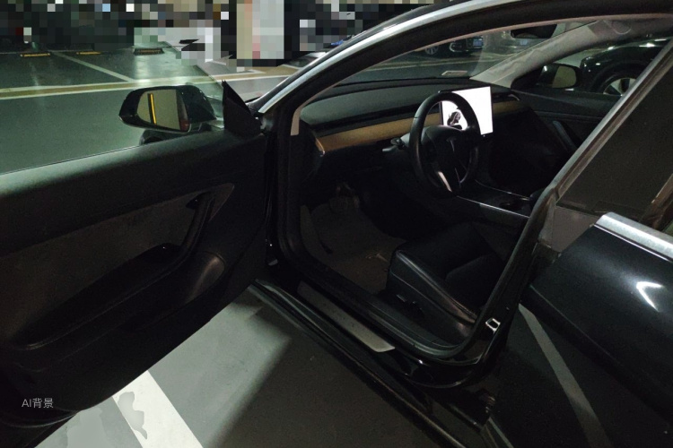 Tesla Model 3 2020 #18 Tesla Model 3 2020 car image #18