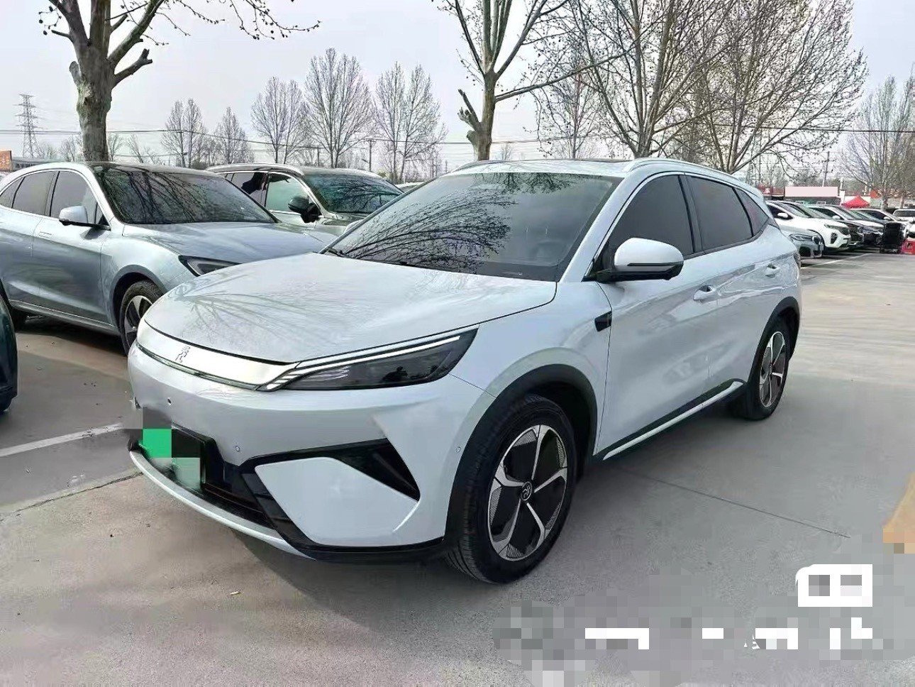 BYD Yuan Plus 2025 immagine di auto 