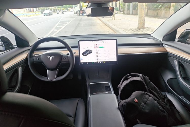 Tesla Model 3 2021 car image #10