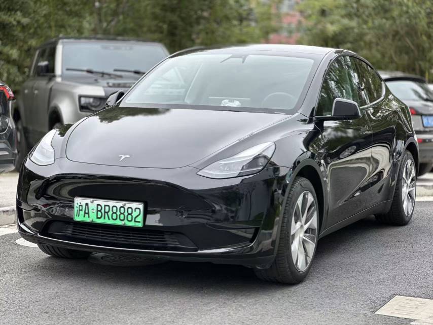 Tesla Model Y 2023 Tesla Model Y 2023 car image