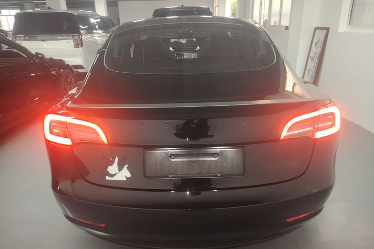 Tesla Model 3 2023 #6 Tesla Model 3 2023 car image #6