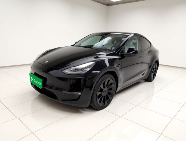 Tesla Model Y 2022 car image 