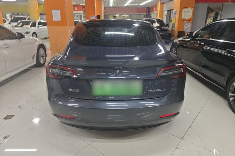 Tesla Model 3 2021 car image #6