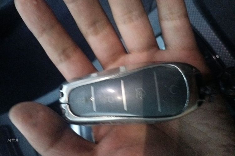 BYD Han 2023 #10 BYD Han 2023 immagine di auto #10