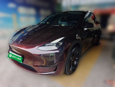 Tesla Model Y 2022 car image 