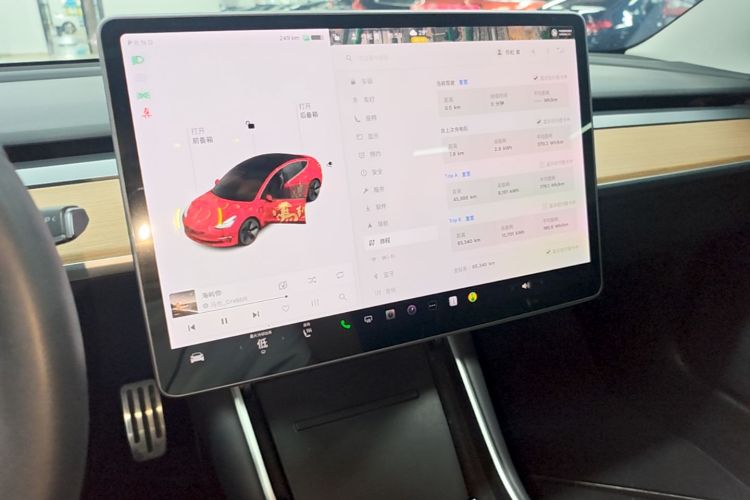 Tesla Model 3 2020 car image #12