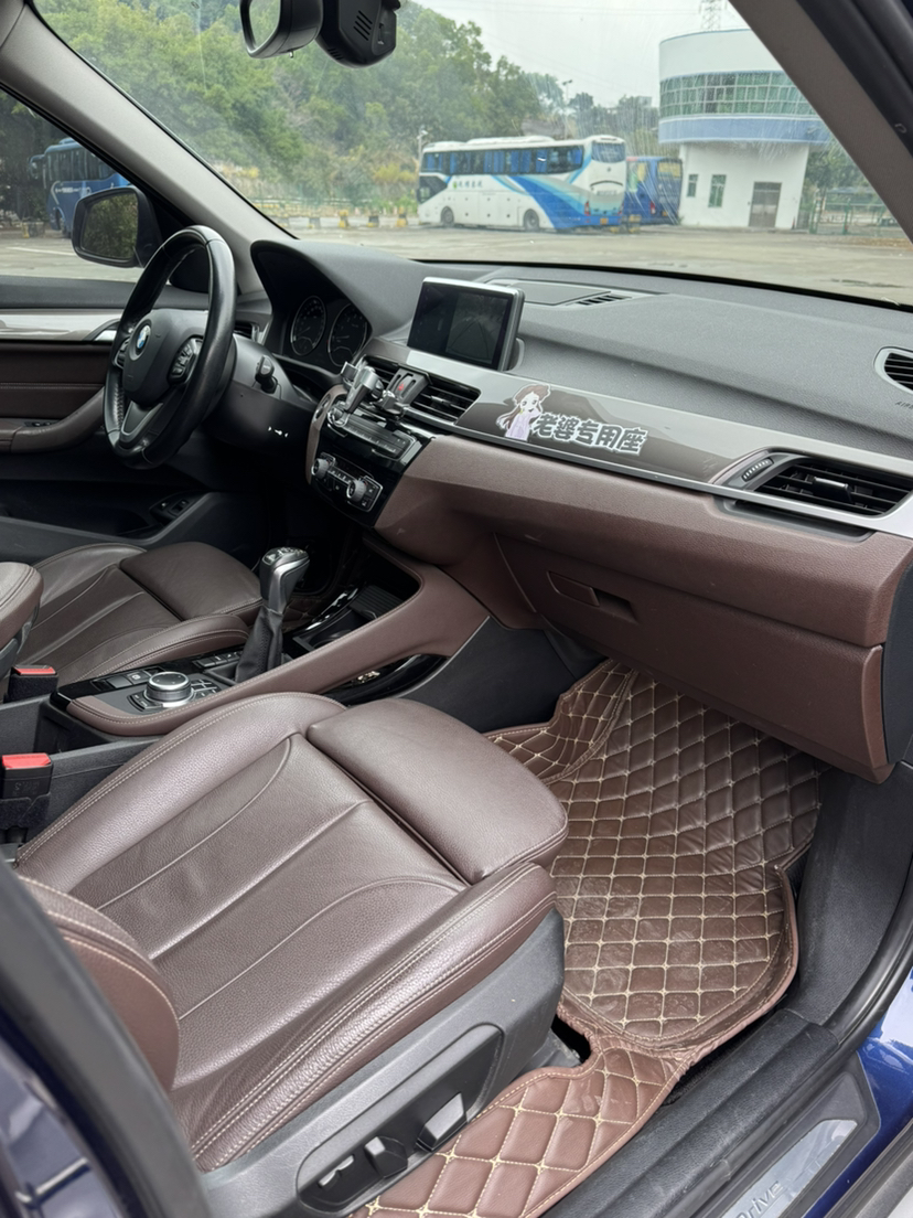 BMW X1 New Energy 2019 car image #4