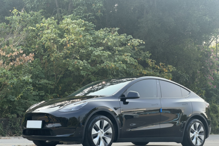 特斯拉 Model Y 2023 汽车图片 #2