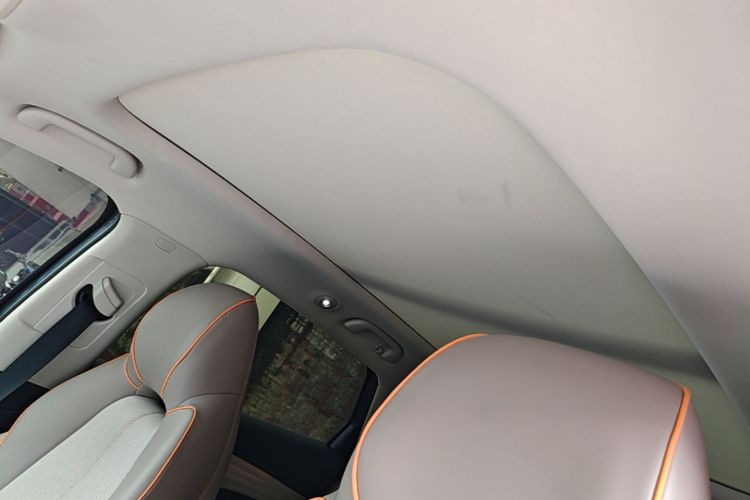 BYD Yuan Plus 2023 car image #18