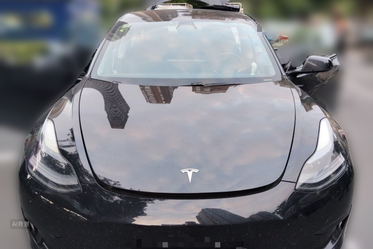 Tesla Model 3 2021 car image #3