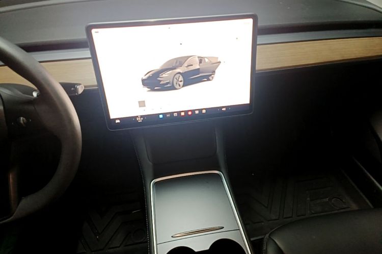 Tesla Model 3 2022 car image #17