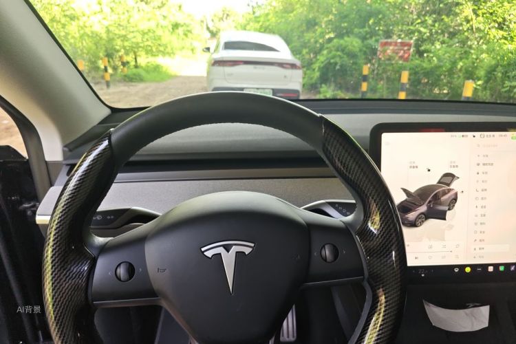 Tesla Model Y 2024 #13 Tesla Model Y 2024 car image #13