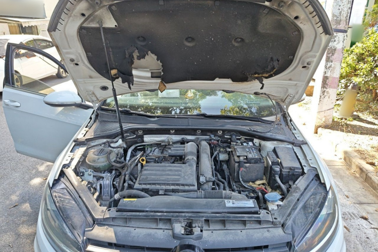 Volkswagen Golf 2019 #22 Volkswagen Golf 2019 car image #22