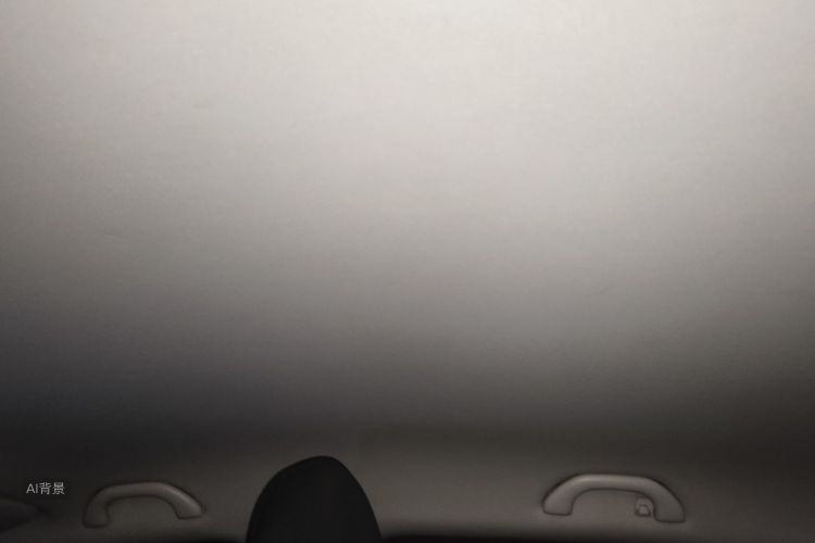 Volkswagen Polo 2015 immagine di auto #20