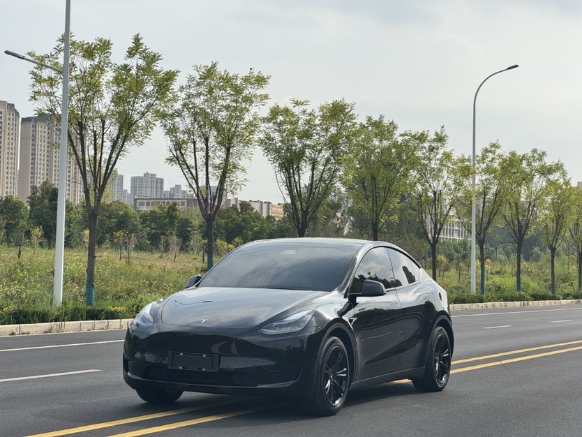 Tesla Model Y 2022 Tesla Model Y 2022 car image